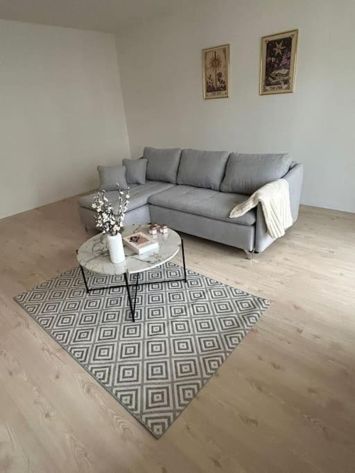 Apartment Ideal Central&spacious 2-roomapt *