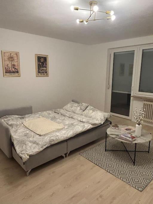 Apartment Ideal Central&spacious 2-roomapt Nürnberg